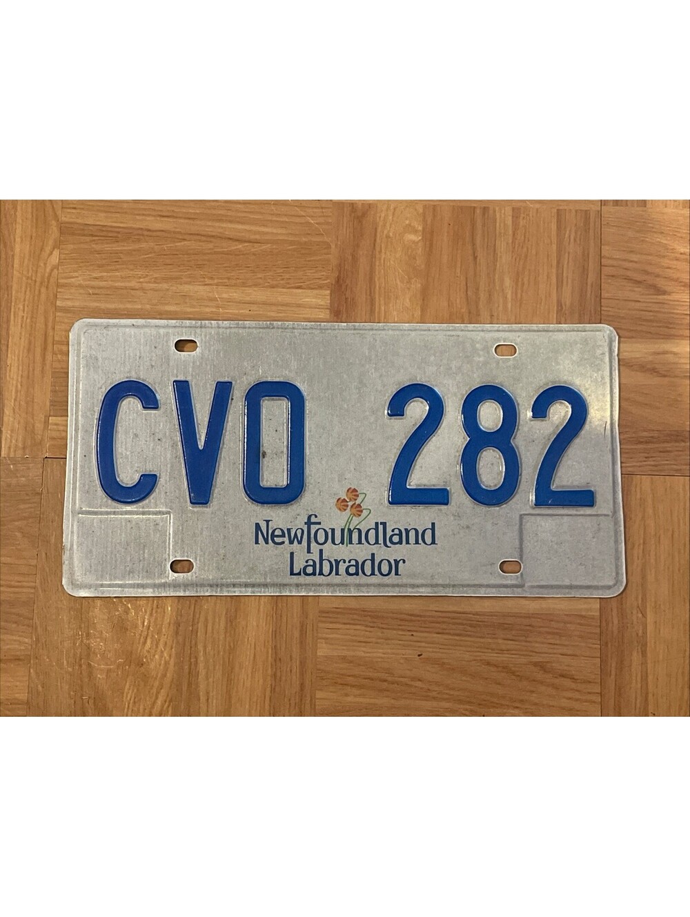 Newfoundland License Plate (Expired) Labrador Canada Picture Plant CVO 282